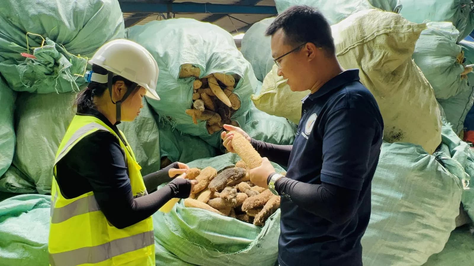 How Loofah Fiber Is Graded and Sorted Before Production