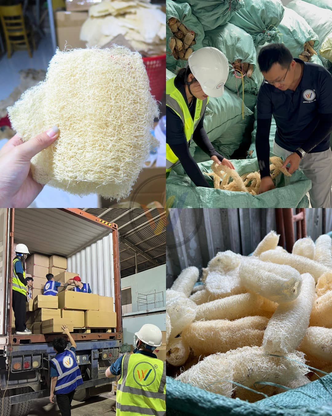 Loofah MOQ Explained: What's a Realistic Minimum Order for a New Amazon Brand?