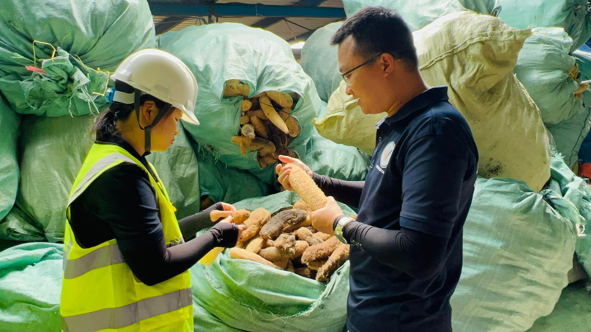 Workers handling natural loofah at the facility in Central Vietnam