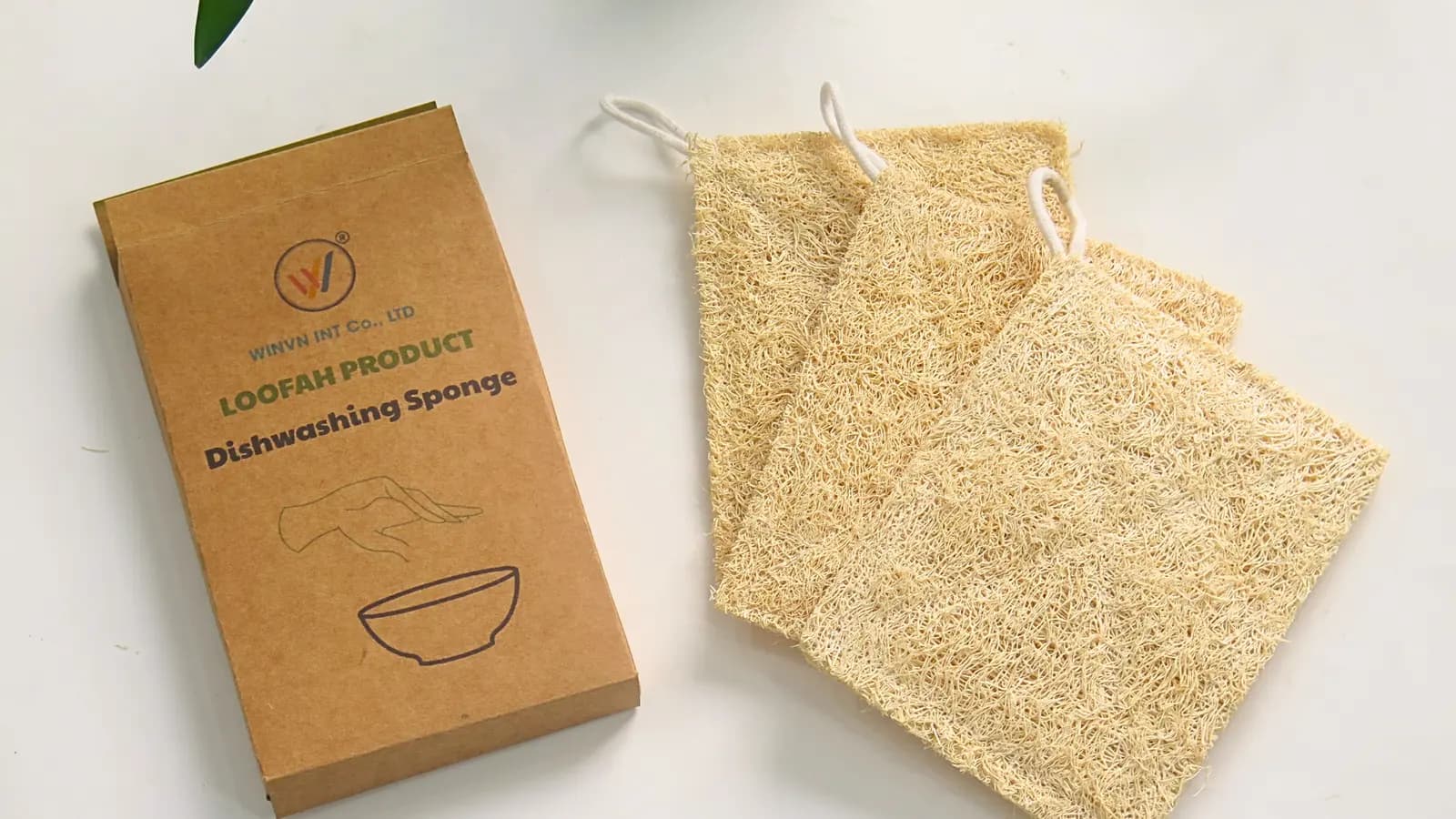Natural Dish Sponge Wholesale: A Plastic-Free Kitchen Sourcing Guide