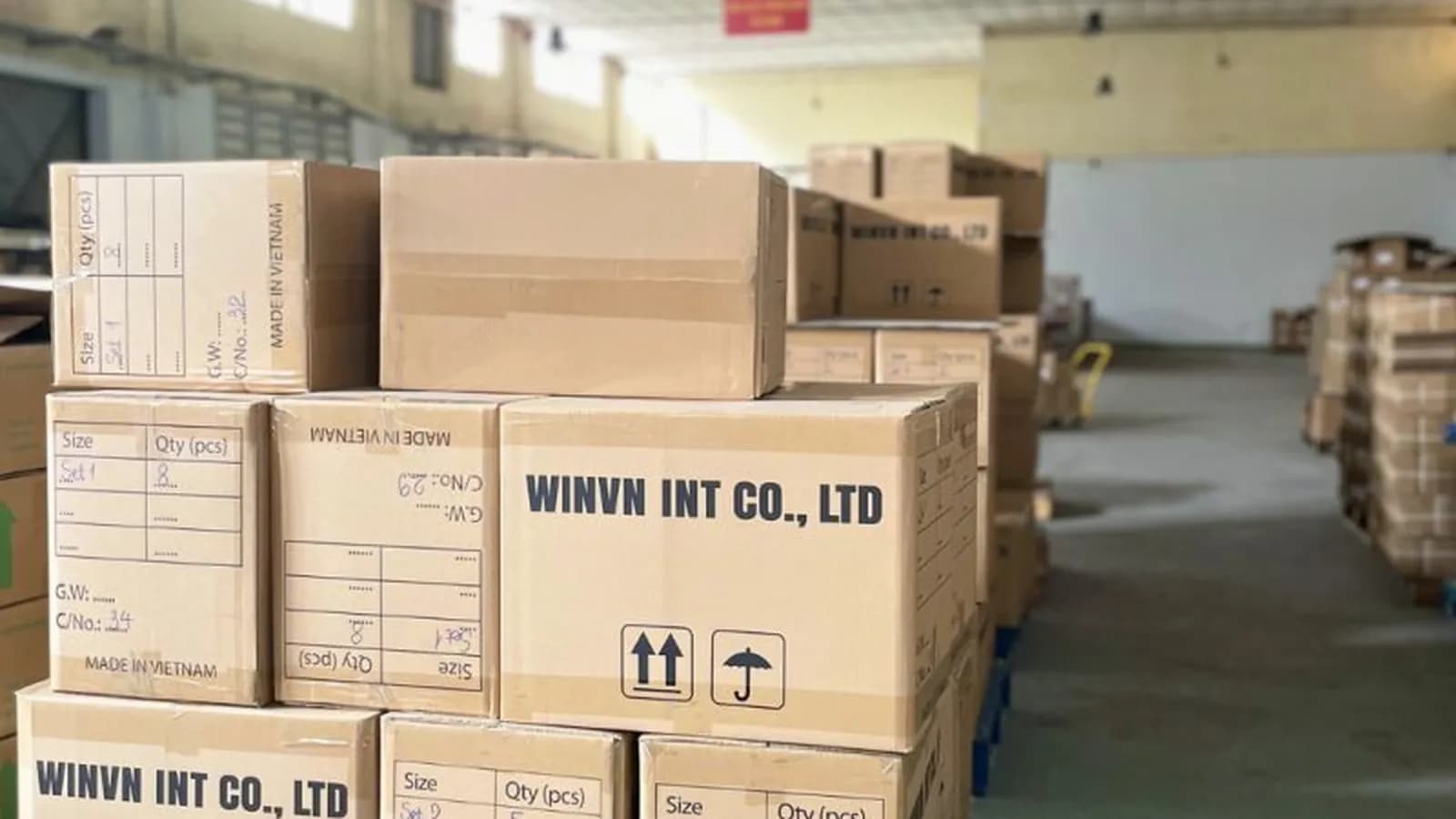 Inside a Vietnam Loofah Factory: From Raw Fiber to Finished Product