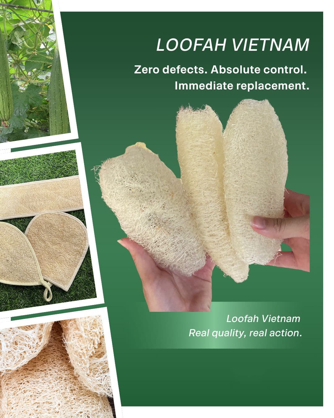 Natural Loofah vs Plastic Sponge: A Full Lifecycle Comparison