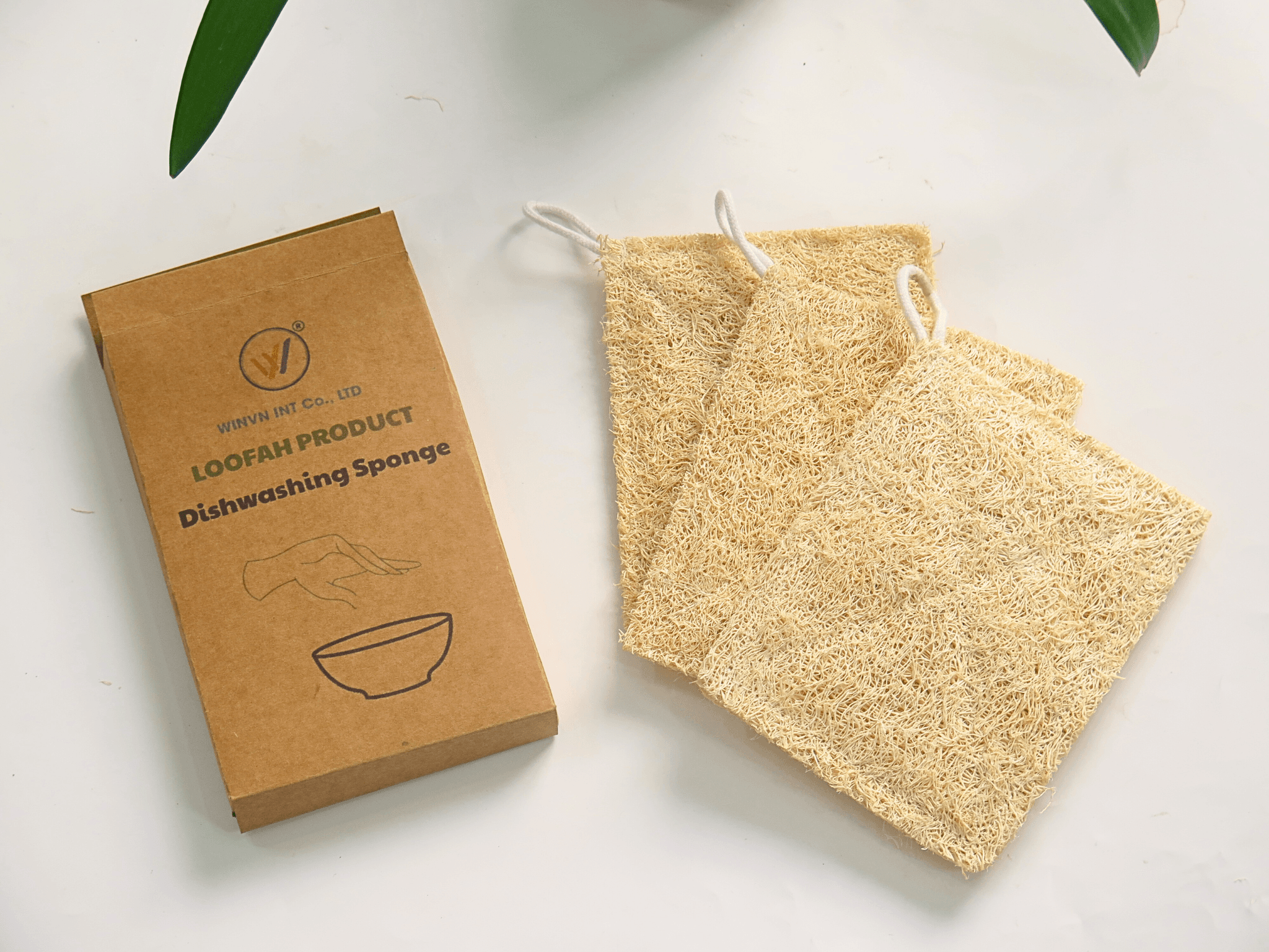 How to Clean and Disinfect a Natural Loofah
